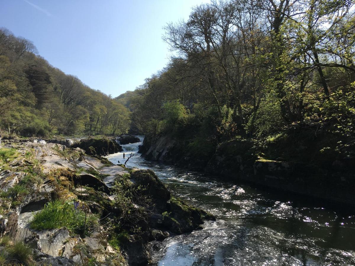 Hammet At Castell Malgwyn Llechryd 外观 照片
