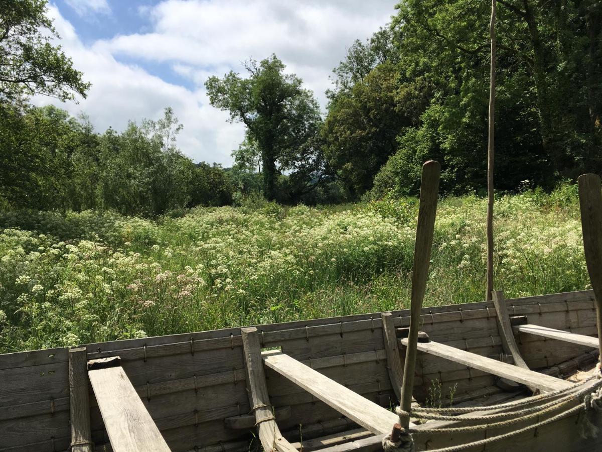 Hammet At Castell Malgwyn Llechryd 外观 照片