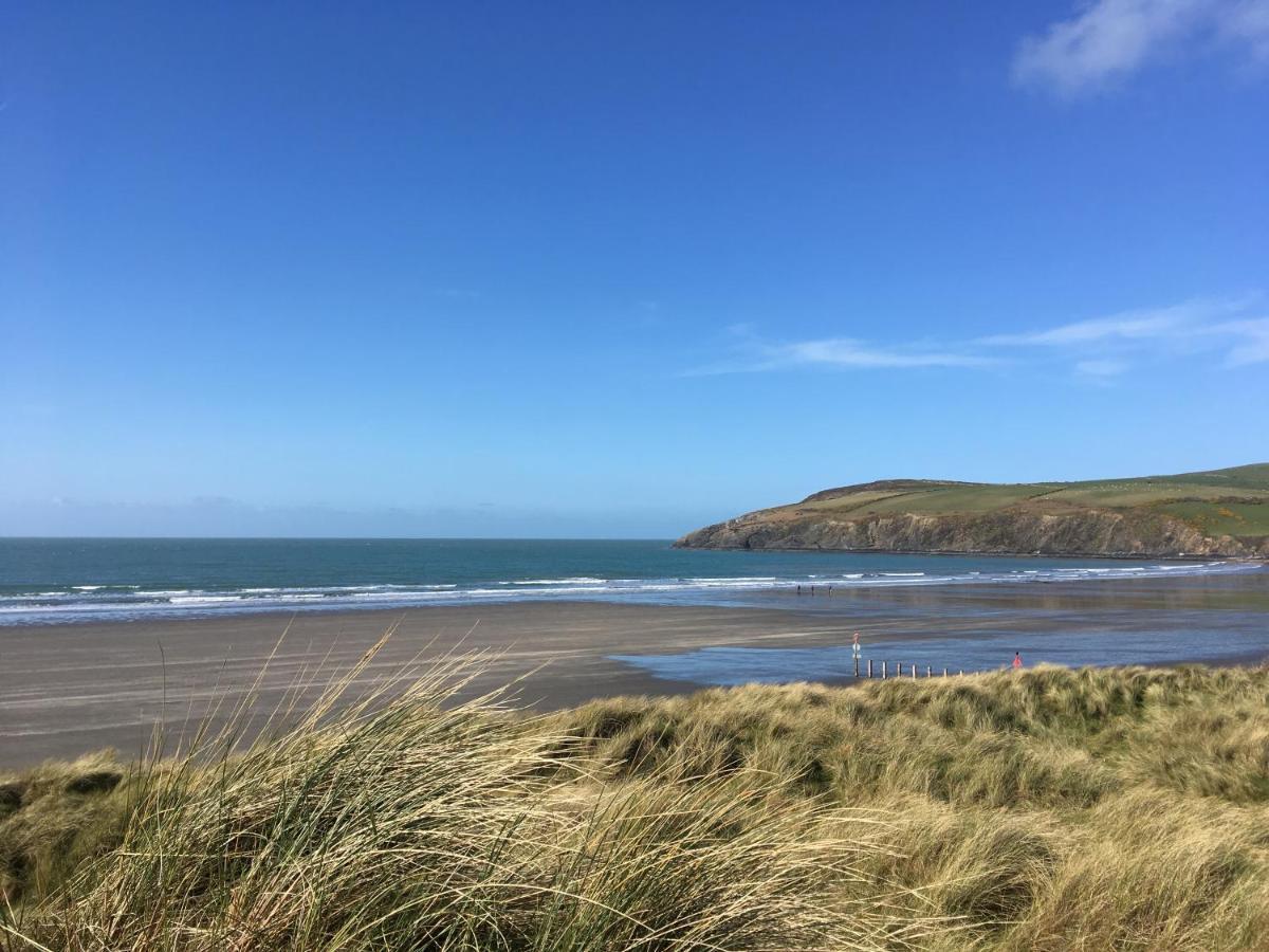 Hammet At Castell Malgwyn Llechryd 外观 照片